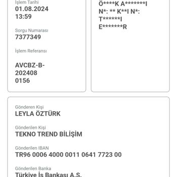 Tekno Danışmanlık Kredi Danışmanlık Hizmeti Sürecinde Yaşanan Sorunlar