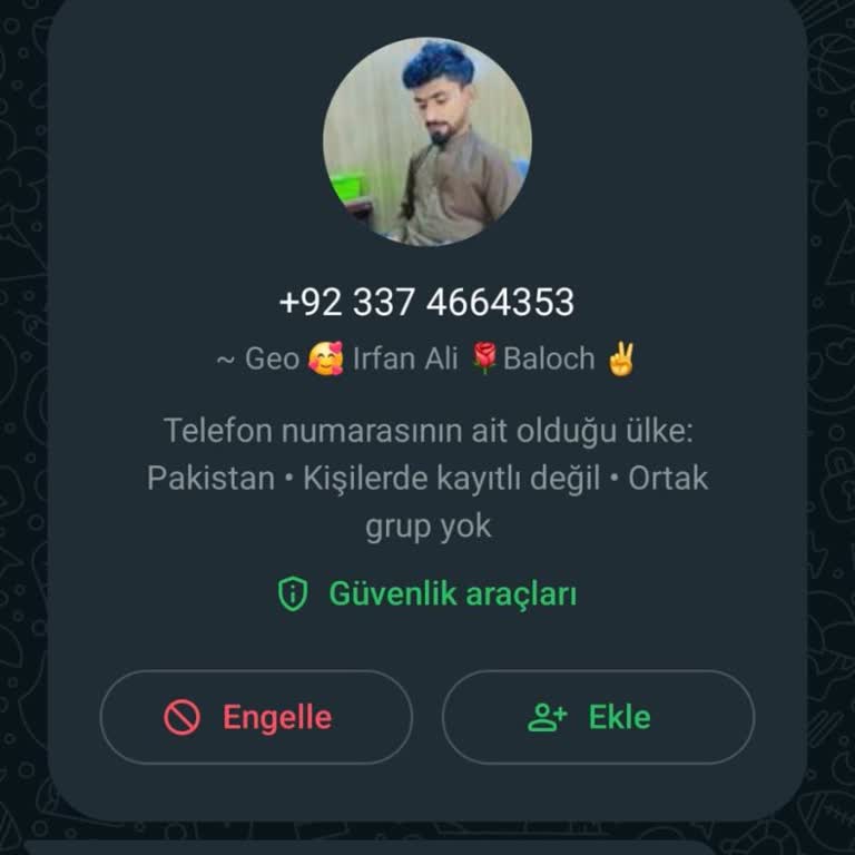 WhatsApp Tan Tepois.com Sitesine Yönlendirme