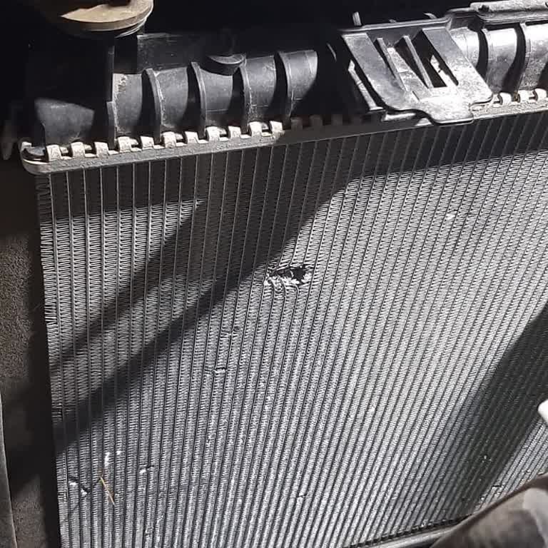 Ford Garanti Kapsamına Araç Almıyor