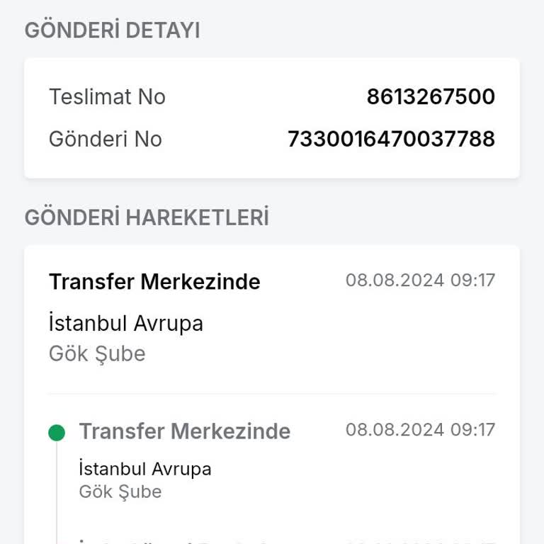 Trendyol İstanbul Gök Şube Kargo