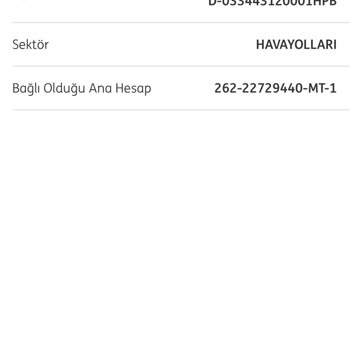 ING Sanal Hesapta Farklı Tutar Gösterip Ana Hesaptan Fazla Tahsilat?