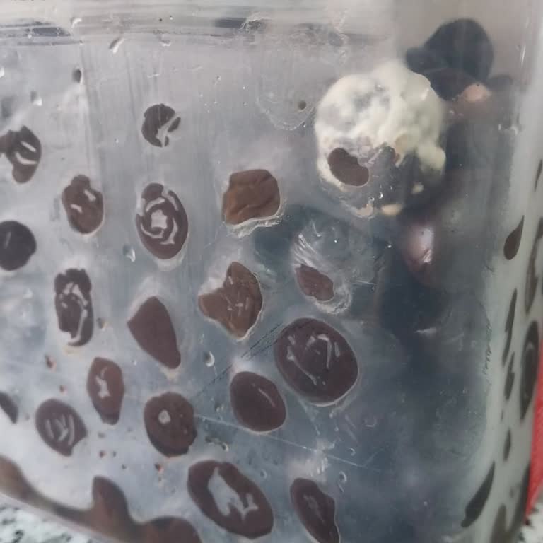 Cem Zeytincilik Zeytin Kalite Sorunları Ve Müşteri Hizmetleri Şikayeti