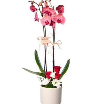 Çiçek Sepeti İstediğim Ürünü Göndermedi Yarı Fiyatına Olan Başka Ürün