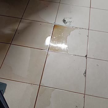 Pepsi 2,5 Siyah Kapaklı Kola