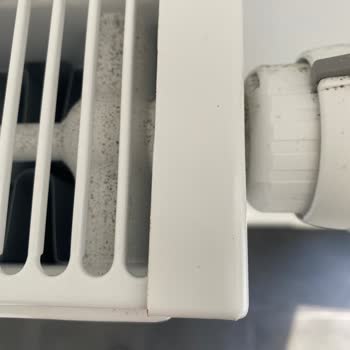 Yalçın Temizlik Düğün Hazırlıklarında Büyük Hayal Kırıklığı