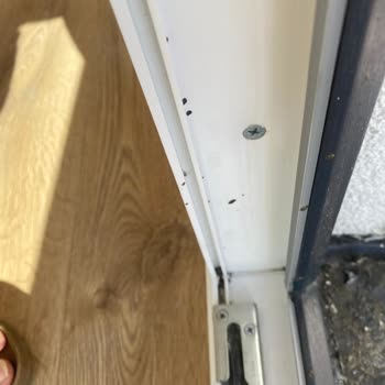 Yalçın Temizlik Düğün Hazırlıklarında Büyük Hayal Kırıklığı