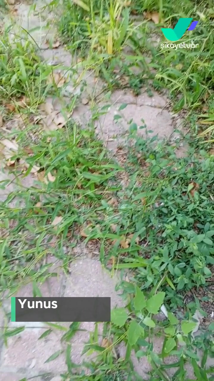Türkiye Hayat Emeklilik Numara Yanlışlığı videonun kapak resmi