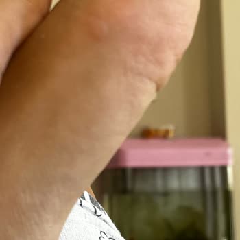 Stradivarius (kalitesi (? ) )