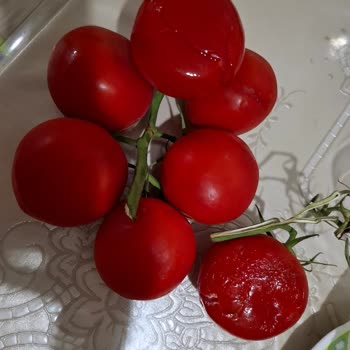Şok Marketler Sipariş Sorunu Ve Eksik Ürün Teslimatı