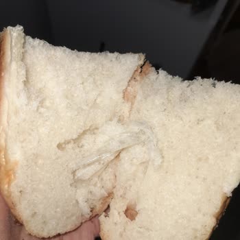 A101'den Aldığım Kanepe Ekmeğinde Poşet Parçası Çıktı