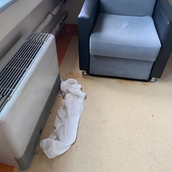 Ahi Evren Eğitim ve Araştırma Hastanesi (Trabzon) Trabzon Hastanesi Temizlik Personeli Şikayeti