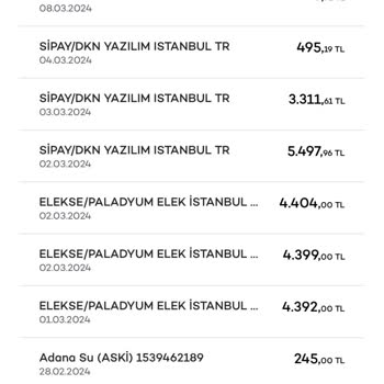 SİPAY/YSF-SİPAY/DKN-ELEKSE/PALADYUM Elek Şirketleri Bilgim Dışında