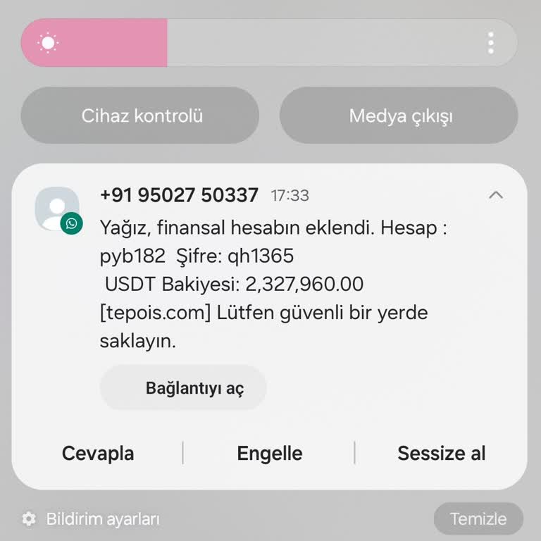 WhatsApp Finansal Duruma Dair Yanlış Yönlendirme Ve Link İçeren Mesaj
