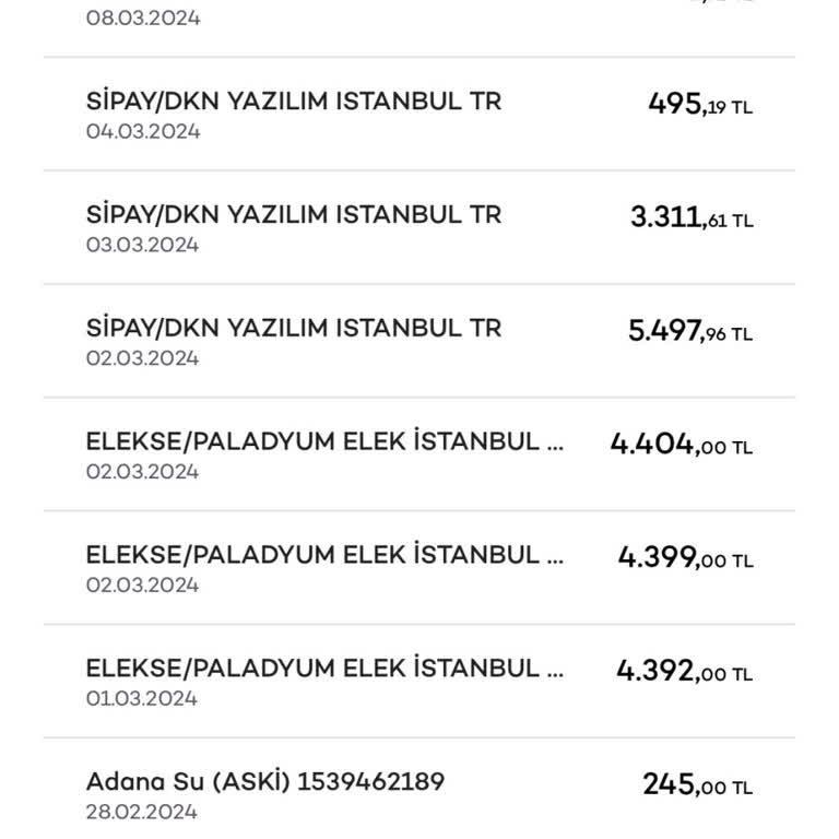 ELEKSE/PALADYUM Elek İstanbul TR İzinsiz Kredi Kartımdan Çekim Yapmış
