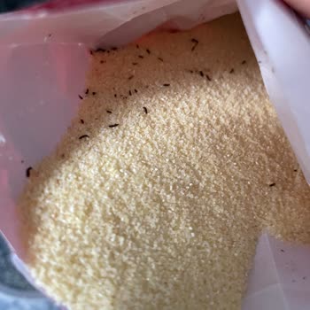 Filiz Makarna Böceklenmiş İrmik Mağduriyeti