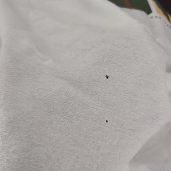 Vestel Çamaşır Makinesi Kıyafetleri Yırtıyor.