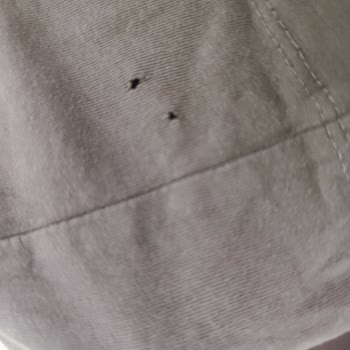 Vestel Çamaşır Makinesi Kıyafetleri Yırtıyor.