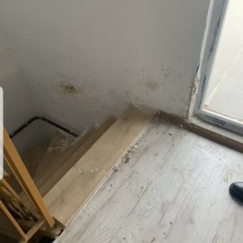 Allianz Sigorta Mağduriyetimin Giderilmesini İstiyorum