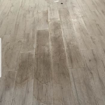 Allianz Sigorta Mağduriyetimin Giderilmesini İstiyorum