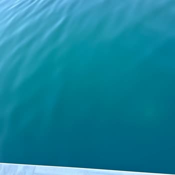 Villavillam.com.tr Hayal Kırıklığı Kirli Havuz Ve Eksik Hizmet