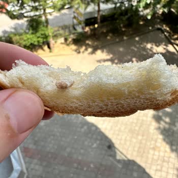 Besaş Ekmek İçindeki Madde