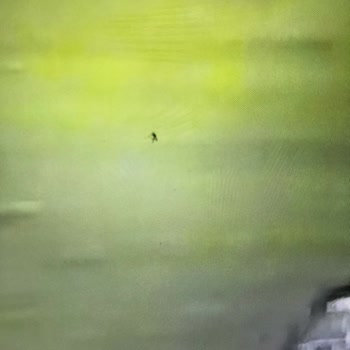 Samsung Televizyonumun İçine Sinek Girdi, Samsung Pişmanlıktır