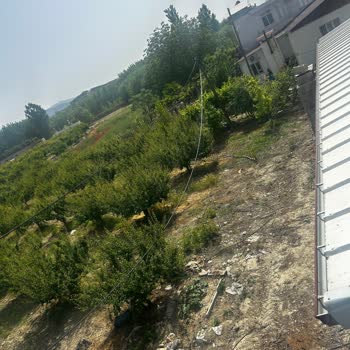Türk Telekom Telekom Direği Göçtü Kablolar Yerde