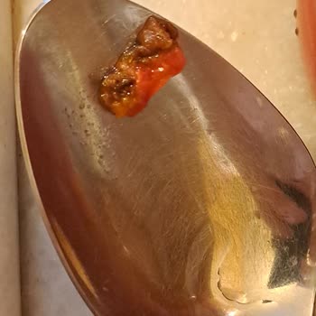 Tukaş Marka Domates Salçasının İçinden Böceğe Benzeyen Bir Cisim Çıktı