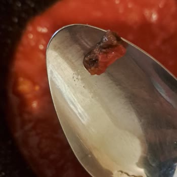 Tukaş Marka Domates Salçasının İçinden Böceğe Benzeyen Bir Cisim Çıktı