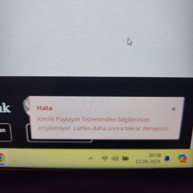 Passolig Kimlik Paylaşım Sisteminden Bilgilerinize Erişilemiyor