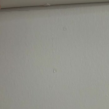 Vestel Flora Klima İç Üniteden Damlatma Yapıyor.