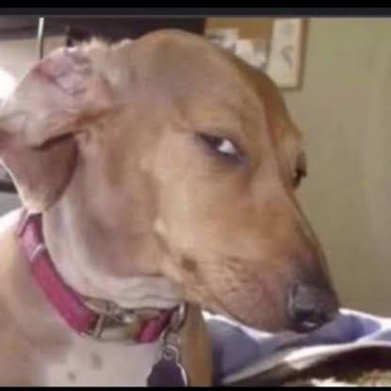 Yunus Emre Tıp Merkezi İkiz Bebek Muayene Ücreti Hakkında Şikayet