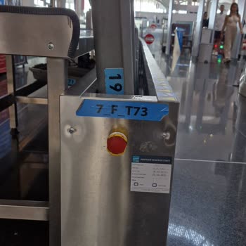 Türk Hava Yolları Uçağa Alınmama