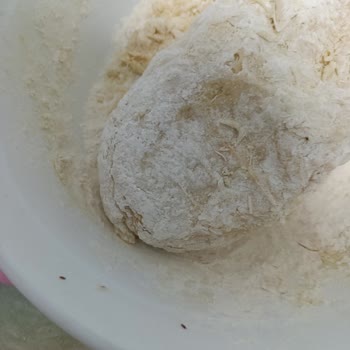 Sinangil Un Kurt Böcek Çıktı