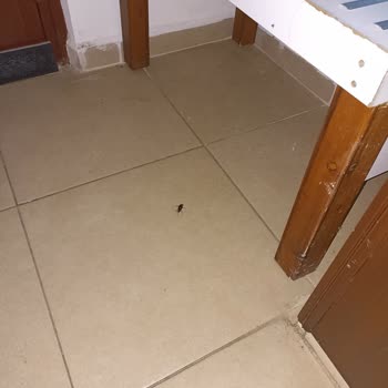 Tatilbudur Otel Hizmetlerinde Büyük Hayal Kırıklığı