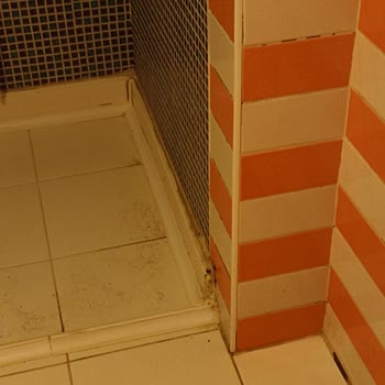 Tatilbudur Otel Hizmetlerinde Büyük Hayal Kırıklığı