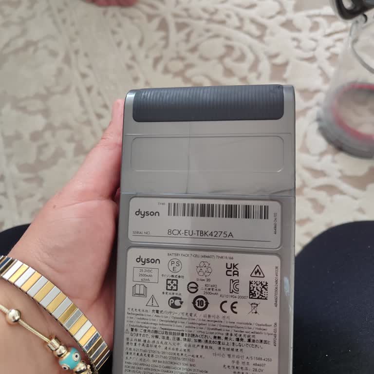 Dyson V12 Serviste Başka Birinin Haznesi Gönderildi