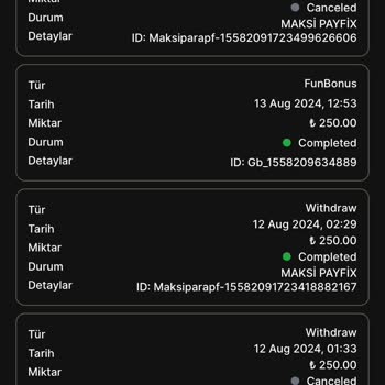 No2Bet Yanıltıcı Bonuslar Ve Ödeme Sorunları