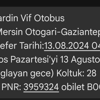 Özlem Mardin Vif Pişmanlıktır Denemeden Görün