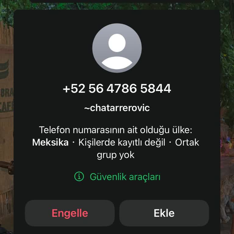 WhatsApp Gizlilik İhlali