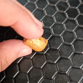 UNO Ekmek Kruton İçinden Madde Çıktı