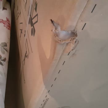 A101 Ekstra Ayıplı Bir Buzdolabı Satışı Yapmaları Akabinde İade Süreci
