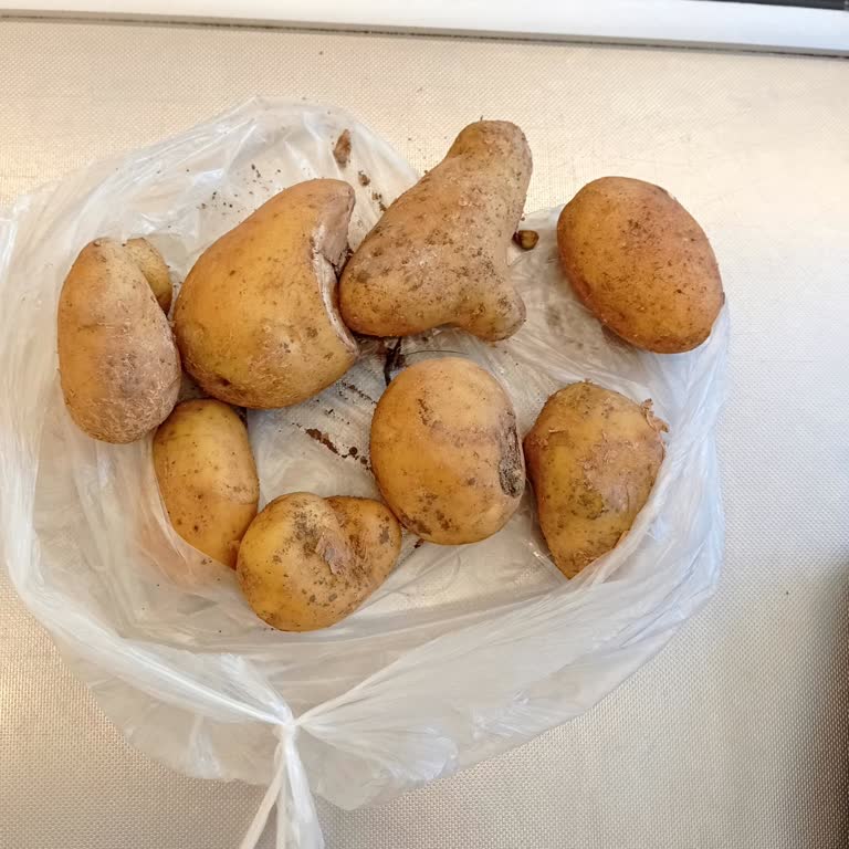 Çanakkale Biga Hamdibey Mahallesi İ̇nönü Caddesindeki Şok Mağazası