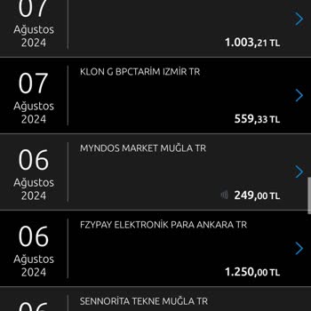Yapı Kredi Bankası Kartımdan Bilgim Dışında Yapılan Harcamalar