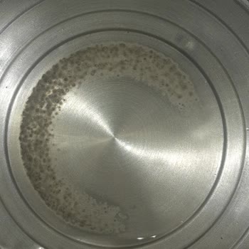 Korkmaz Çelik Semaverde Küflenme Sorunu