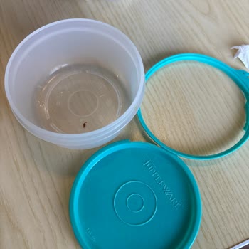 Tupperware Şeker Kap Kapak Yırtılması
