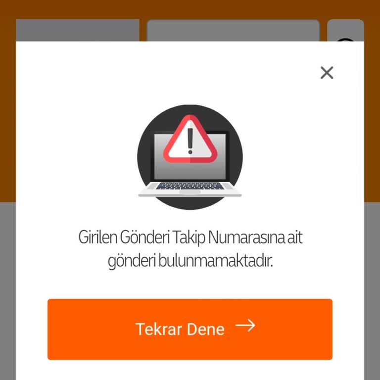 MNG Kargo Sipariş Bulunamadı Hatası