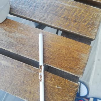 JTI İlgi Alaka Bekliyorum