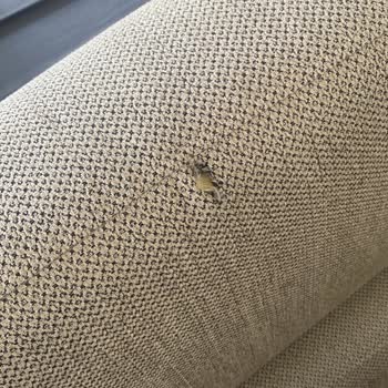 Rahat Nakliyat (rahatnakliyat.com) Nakliyat Hizmetleri Ve Müşteri Deneyimi