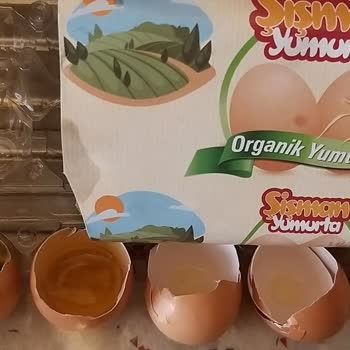 Şişman Organik Yumurta Bozuk Çıktı